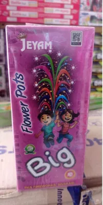 Flower Pots Big (10 Pcs) (பூச்சட்டி பெரியது (10 பீஸ்))